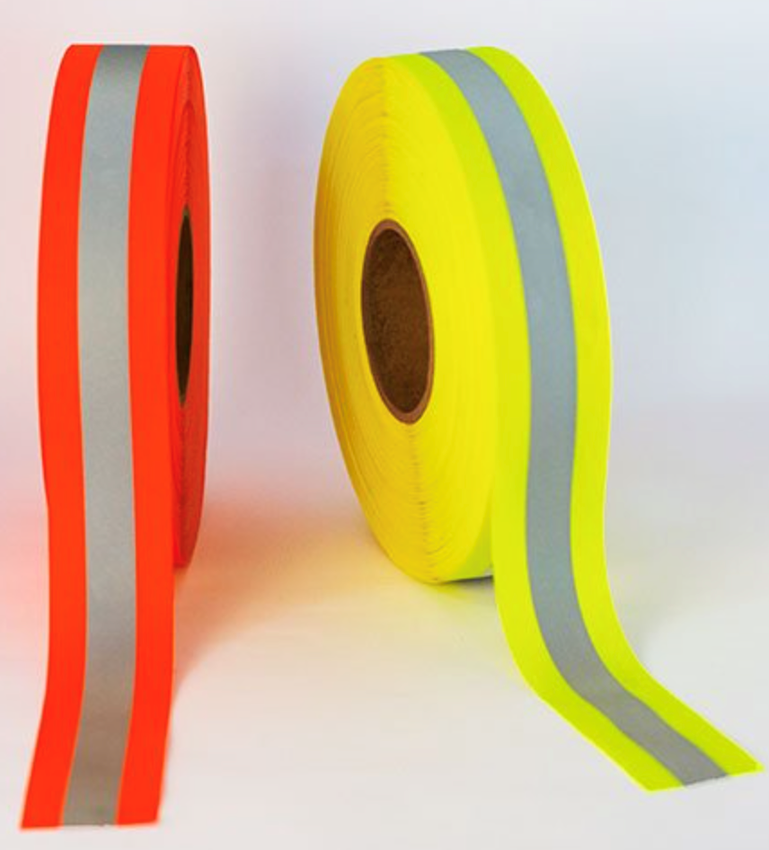 Cintasbicolor